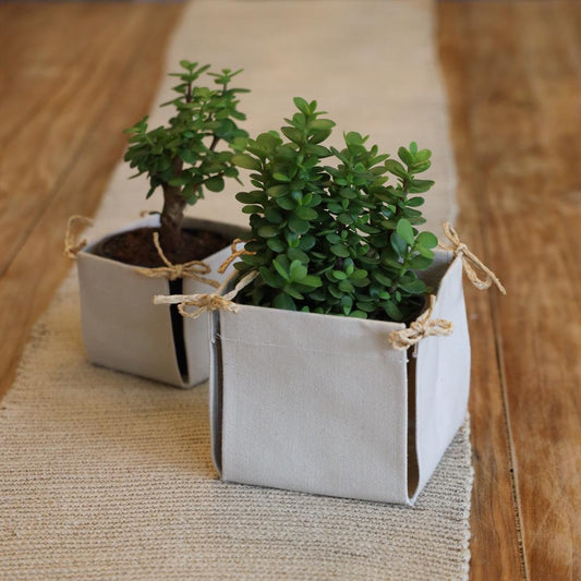 This Planter will add a Japandi touch to your home
