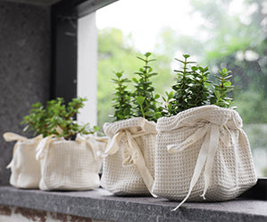 Elevate your houseplants with eco-friendly fabric planters