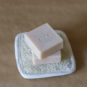 Coconut Soap Kit
