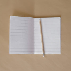 Assorted Notebook Set (pack of 3)