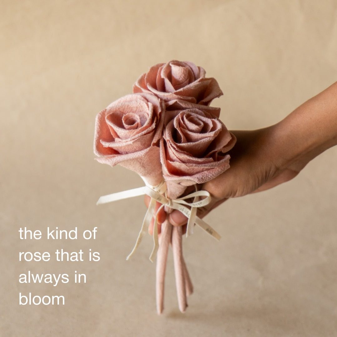 Always in Bloom - Sorbet Cotton Rose