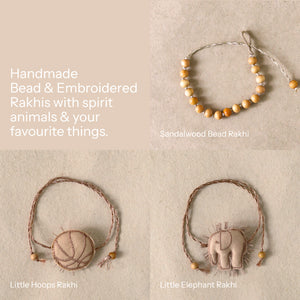 Little Champs Rakhi Trio (3 rakhis)