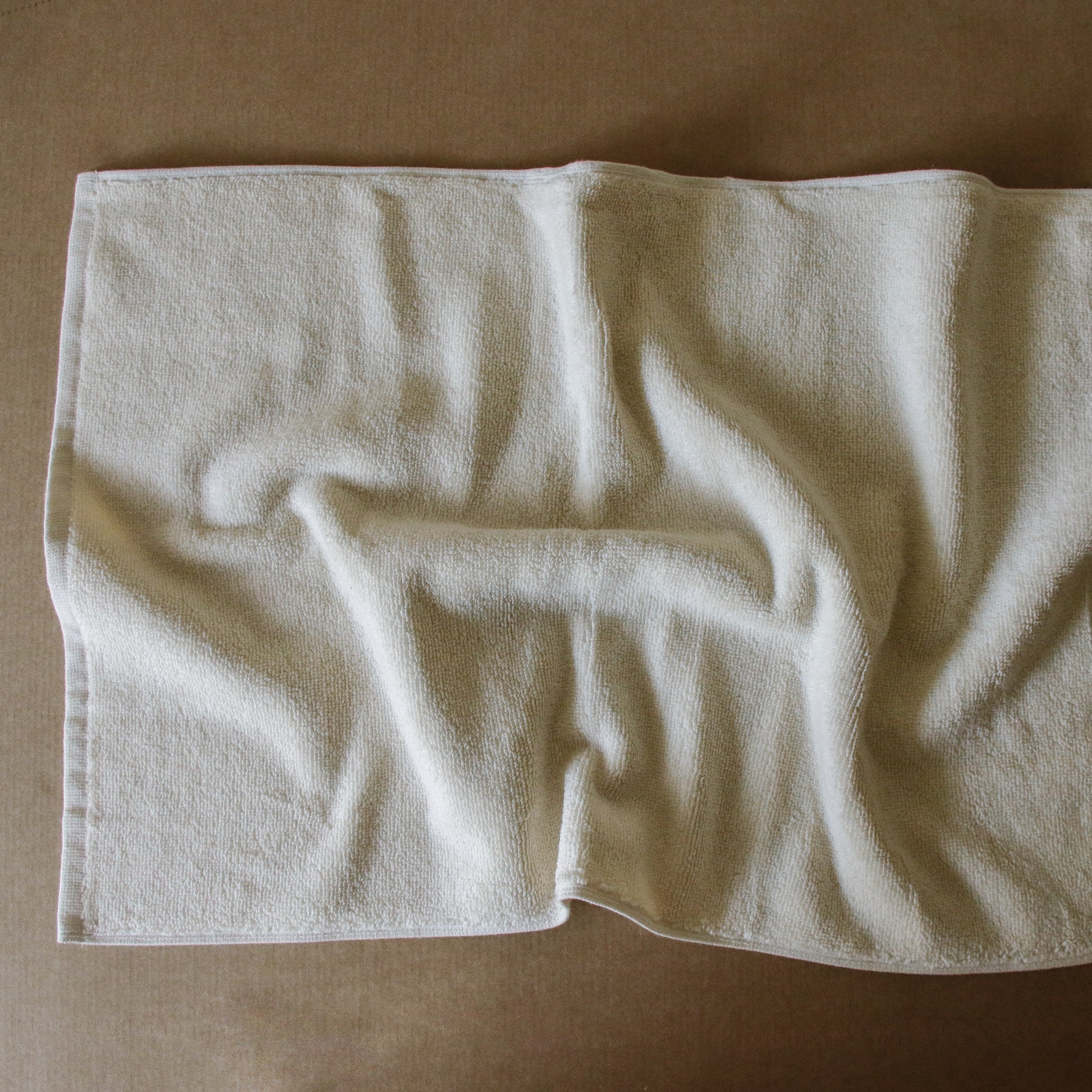Pack of two soft terry cotton hand towels with zero-twist texture, plush and highly absorbent.